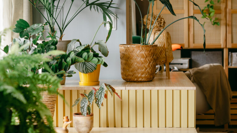 収納にもなる植物棚のDIY③~ペイント~